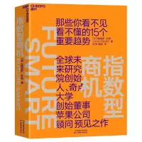 音像指数型商机[加]詹姆斯·坎顿