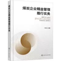 音像煤炭企业精益管理推行实务姚水洪 编著
