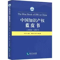 音像中知识权蓝皮书吴汉东 主编