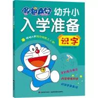 音像哆啦A梦幼升小入学准备 识字吉美学前教育研发组