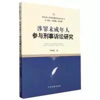 音像涉罪未成年人参与刑事诉讼研究尹泠然