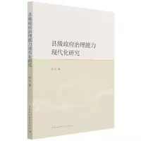 音像县级治理能力现代化研究何水