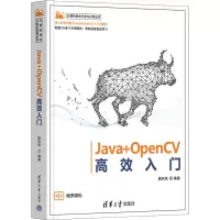 音像Java+OpenCV高效入门姚利民