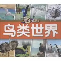 音像童眼识天下童心 编绘
