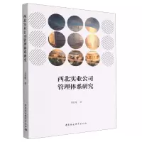 音像西北实业公司管理体系研究刘惠瑾