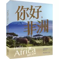 音像你好,非洲湖南美术出版社