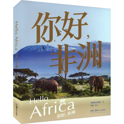 音像你好,非洲湖南美术出版社