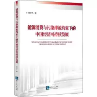 音像能源消费与污染排放约束下的中国经济可持续发展杨万平