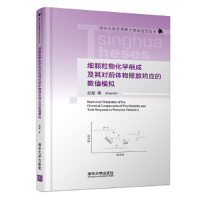 音像细颗粒物化学组成及其对前体物排放响应的数值模拟赵斌