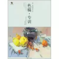 音像色稿专训武兆丹 编著