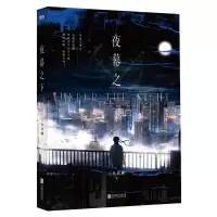 音像夜幕之下/三九音域三九音域