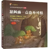 音像暴风雨一点也不可怕申吉 文;王卫诗,杨海静 绘