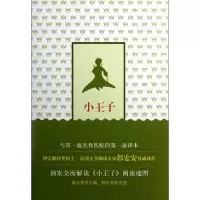 音像小王子(精)(法)圣-埃克絮佩里 郭宏安
