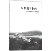 音像机遇与制约董建波 著