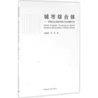 音像城市综合体武前波,黄杉 著
