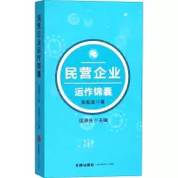 音像民营企业运作锦囊张振龙
