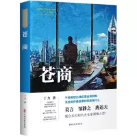 音像苍商/财经小说系列/中国专业作家作品典藏文库丁力著