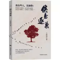 音像候鸟逐巢王艳锋