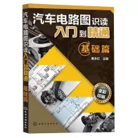 音像汽车电路图识读入门到精通(基础篇全彩印刷)蔡永红