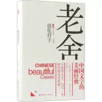 音像骆驼祥子老舍 著