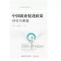 音像中国就业促进政策 评估与展望白晨,杨伟国