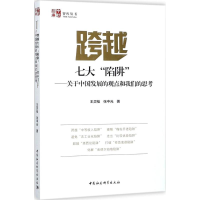 音像跨越七大"陷阱"王灵桂,张中元 著
