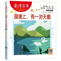 音像湖滩上,有一对天鹅滕毓旭