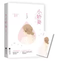 音像小娇妻洛心辰