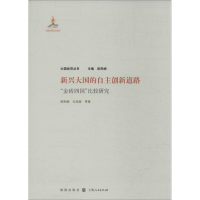 音像新兴大国的自主创新道路欧阳峣 等