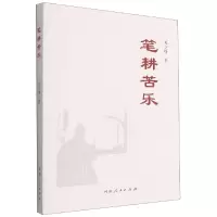 音像笔耕苦乐关少锋著