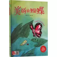 音像美丽的蝴蝶何文楠