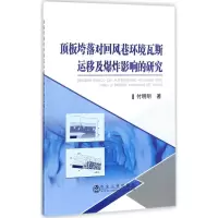 音像顶板垮落对回风巷环境瓦斯运移及影响的研究付明明 著