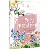 音像我的小花朵们吴然