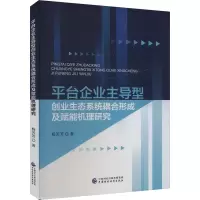 音像平台企业型创业生态系统耦合形成及赋能机理研究杨芳芳