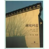音像融境问道徐伉