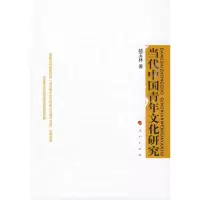 音像当代中国青年文化研究陆玉林