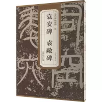 音像汉袁安碑 袁敞碑薛元明 编