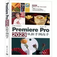 音像Premiere Pro 20从新手高杨志,刘畅 编