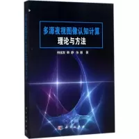 音像多源夜视图像认知计算理论与方法柏连发 等 著