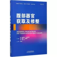 音像腹部器官获取及修整