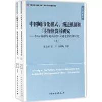 音像中国城市化模式、演进机制和可持续发展研究张自然 等 著