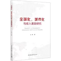 音像全球化城市化与收入差距研究王娜著