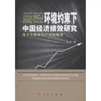音像环境约束下中国经济绩效研究王兵