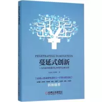 音像蔓延式创新吴文雄,何晓冬 著