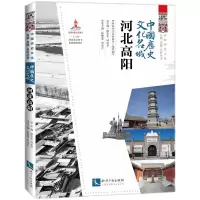 音像中国历史文化名城·河北高阳中国民间文艺家协会组织编写