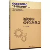音像透视中国改革发展热点卢锋 编