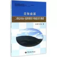 音像青海南部二叠纪火山-沉积格架下的蜓类生物群牛志军,吴俊 著