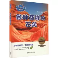 音像万物里的科学 各种各样的石头(全4册)(英)埃伦·劳伦斯