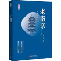 音像老南京 秦淮灯影张恨水 等
