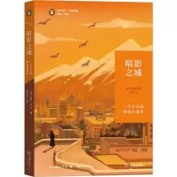 音像暗影之城 一个女人的喀布尔漫步(印)塔兰·N.汗